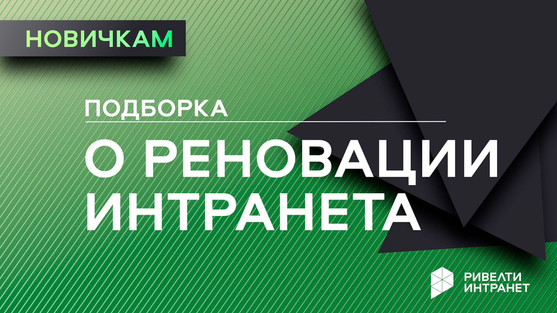 Без-имени-1.jpg